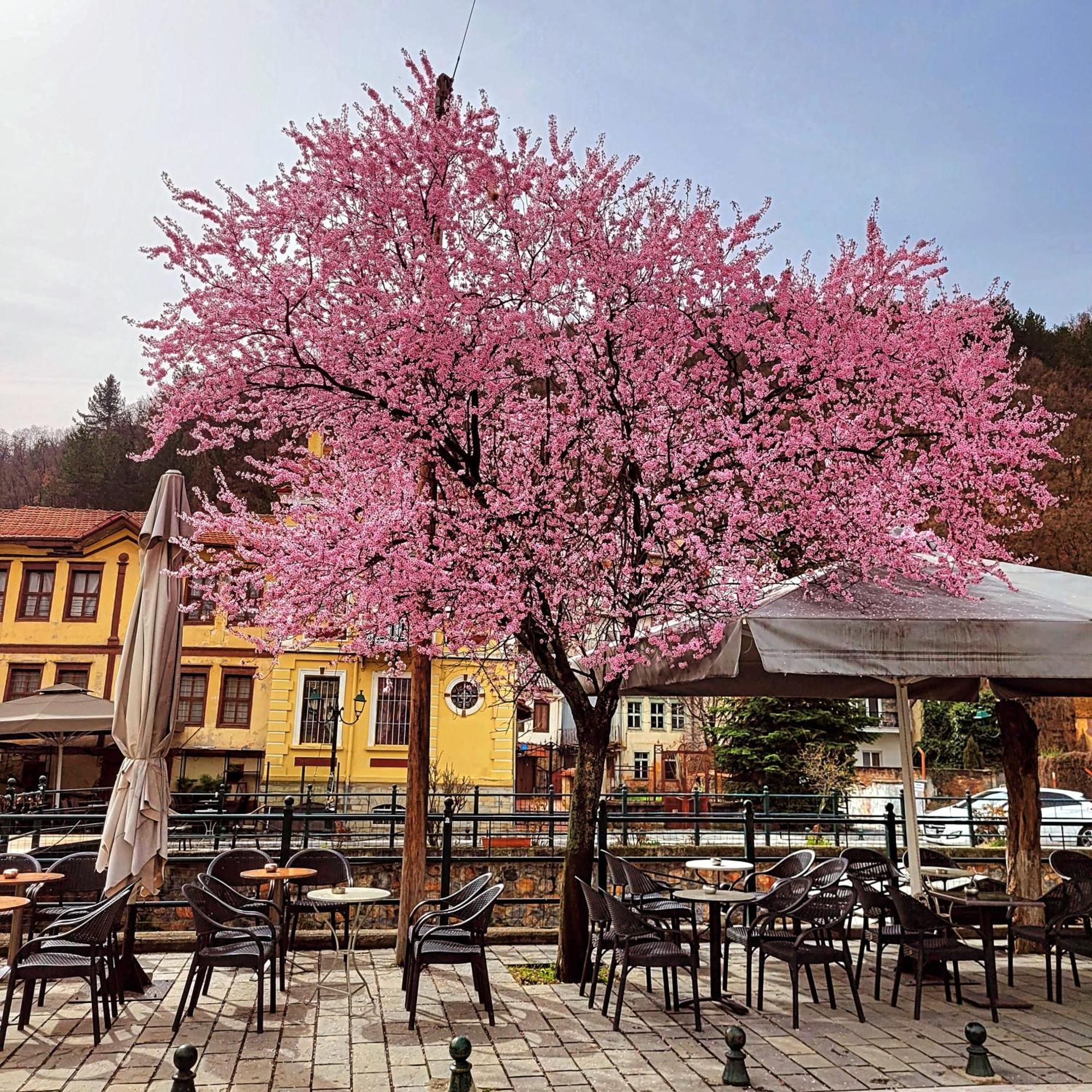 Center River Apartment Φλώρινα Εξωτερικό φωτογραφία
